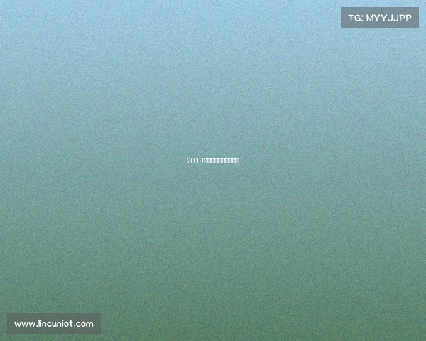 2019年上海大师赛冠军是谁