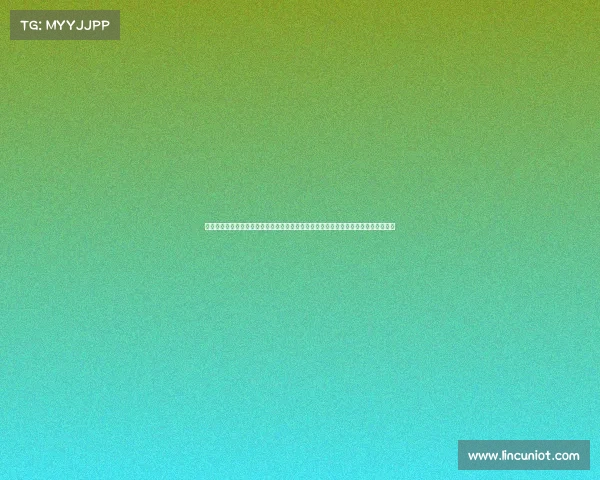 中外赛车赛事、中外赛车盛宴：全球顶尖赛事齐聚感受速度激情与技术创新的完美融合