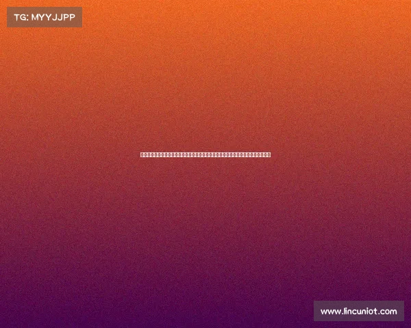 武术比赛组别是怎么分的武术赛事组别优化策略及其对竞技公平与创新发展的影响研究